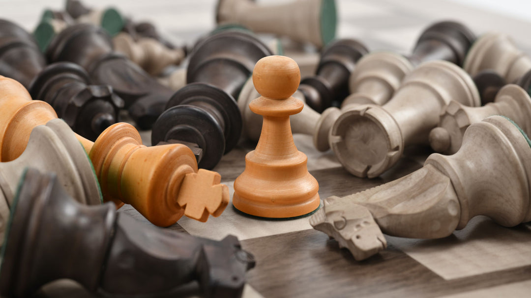 Échiquier pliable - mini échiquier - Jeu d'échecs - avec pièces d'échecs -  Jeux