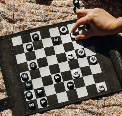 jeu_echecs_dames_voyage_velours_deplacement_pion